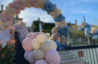 Decoración con globos azules y rosados para revelación de bebé